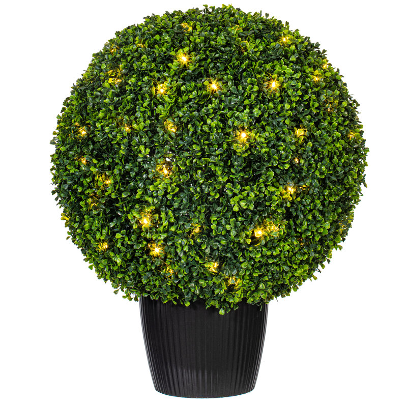 Vickerman Artificial Boxwood Ball 24 " H Faux Boxwood Topiary in Plastic Pot Liner