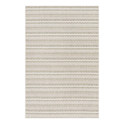 Striped Indoor / Outdoor Rug