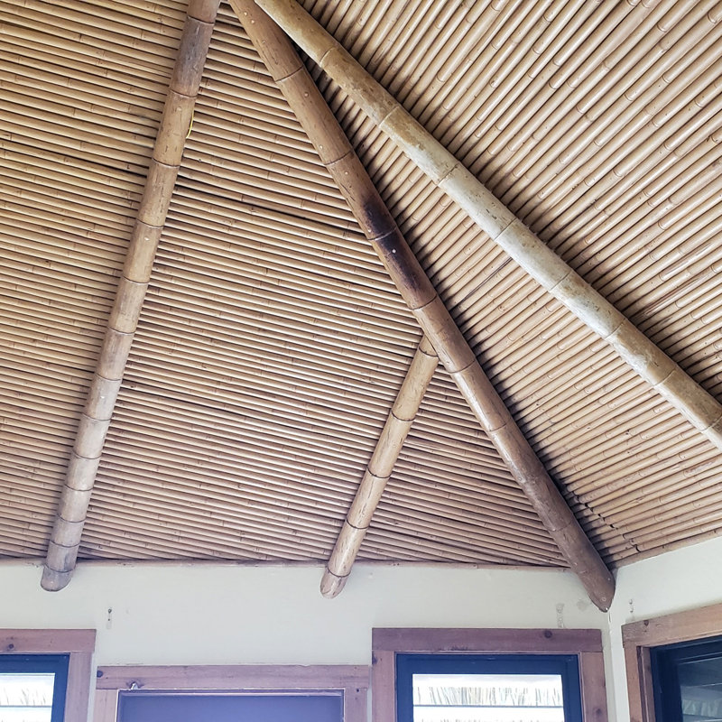 Tam Vong Solid Bamboo Poles for Structural Support, 72" Length (Set of 6)