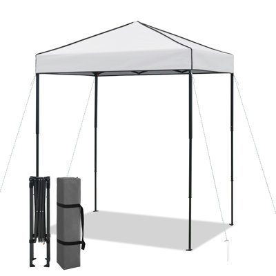 6x4 Canopy Tent, Heavy Duty Pop up Canopy with Carry Bag