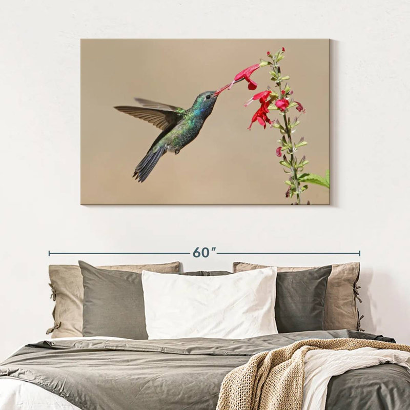 Broad-Billed Hummingbird Drinking Nectar, 32" H x 48" W