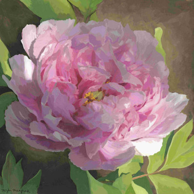 Pivoine rose II