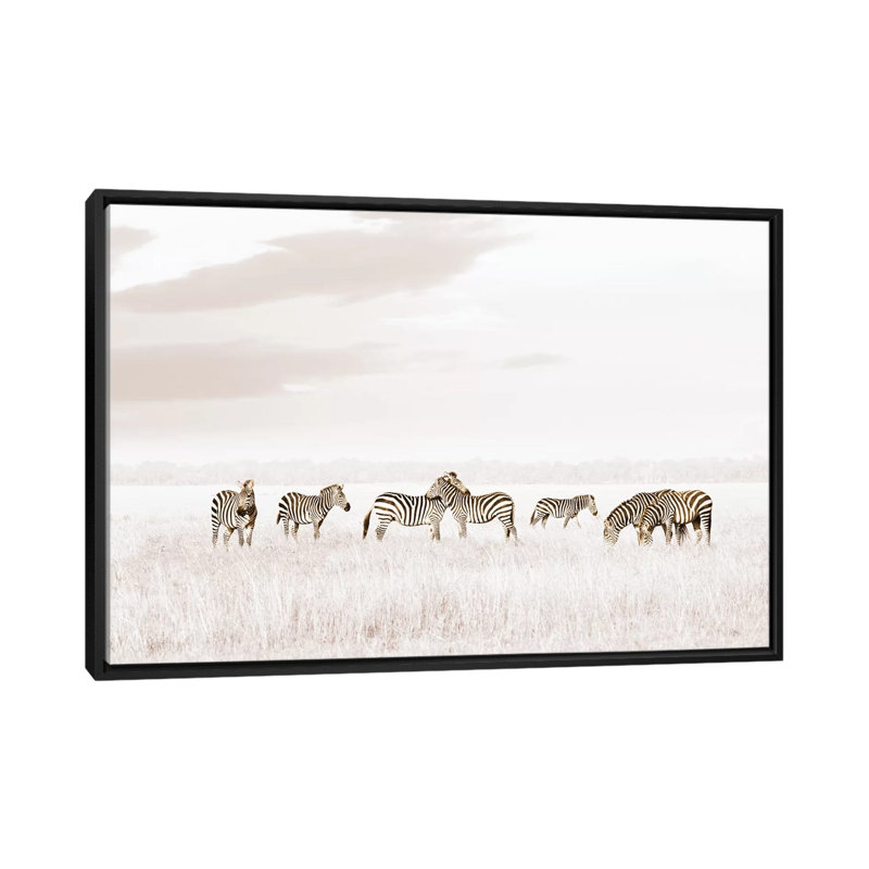 White Zebras by Klaus Tiedge - Print on Canvas, 66.04 cm H x 45.72 cm W, Black Framed