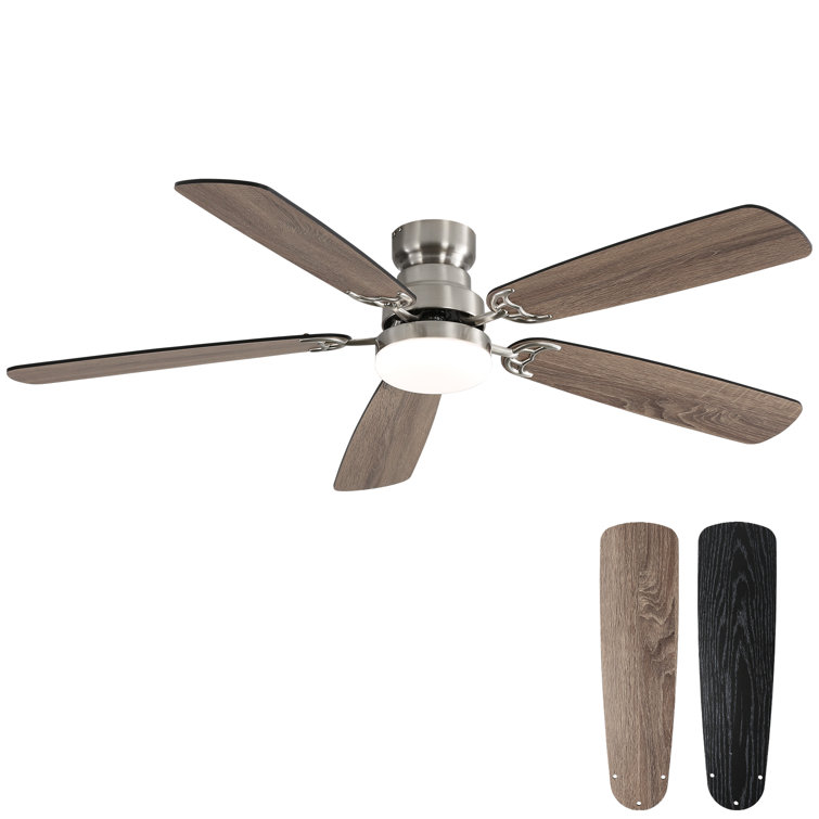 Derick 52'' 5-Blade Modern Ceiling Fan with LED Light and Remote Control