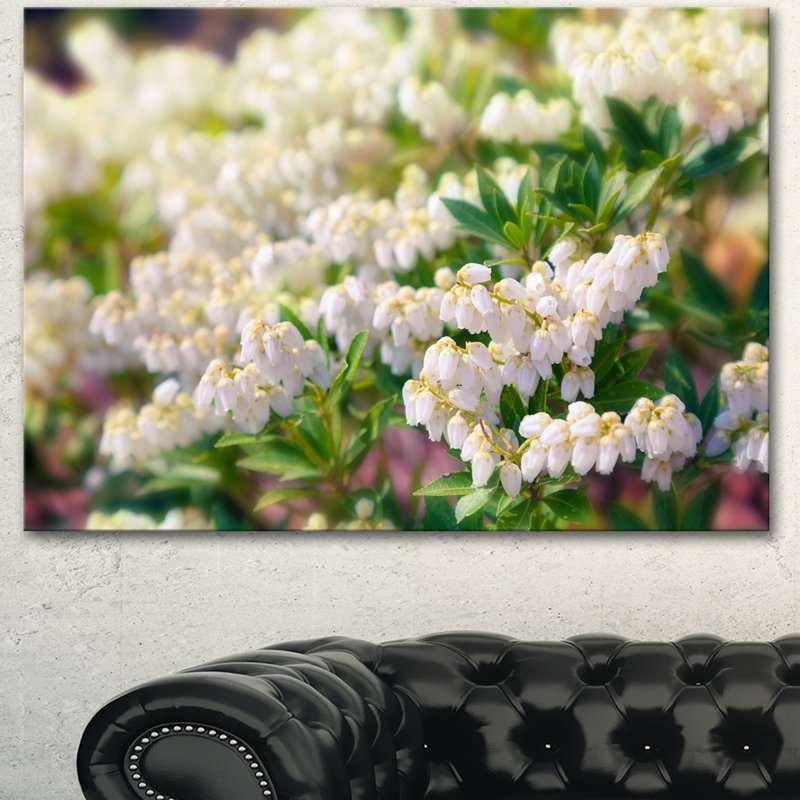 « belle fleuring white floral », reproduction de photo sur toile tendue, H 16 po x l 32 po