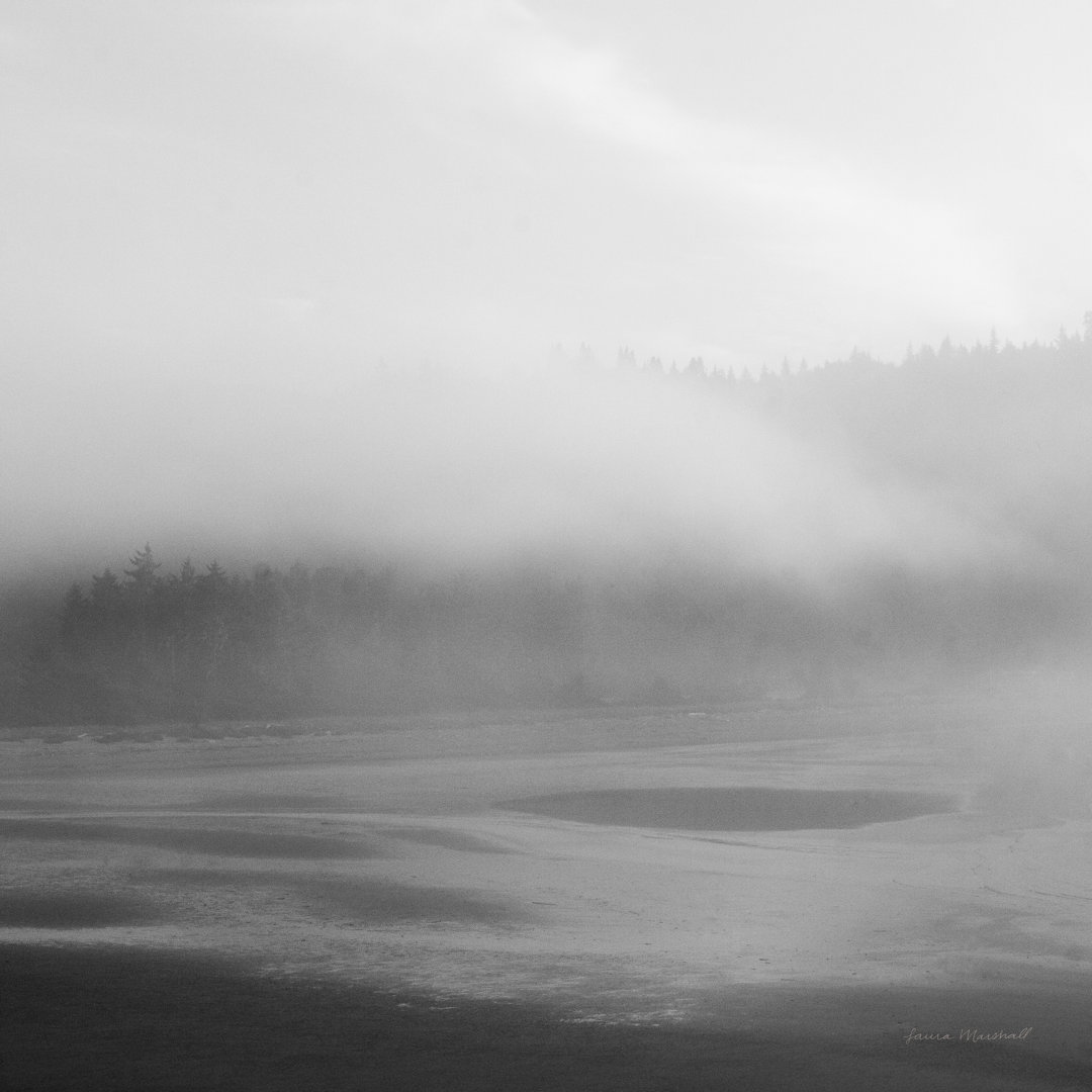 Salt Creek I by Laura Marshall - No Frame Print on Canvas