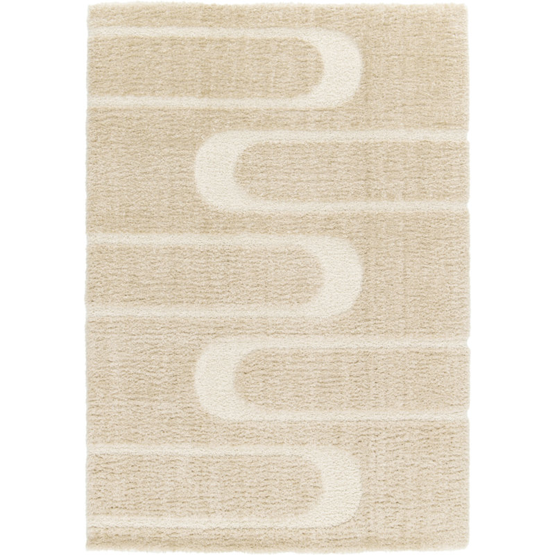Abstract Shag Area Rug, Rectangle 120 x 170 cm