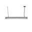 Paloma Golpe 2 - Light Pendant