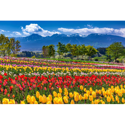 Photographie de toile tendue, "Paysage de printemps bamberger, Japon" par Wataru Aoki