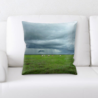 Weinberger Microsuede Throw Pillow