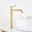 Lillet Brass Mono Basin Mixer