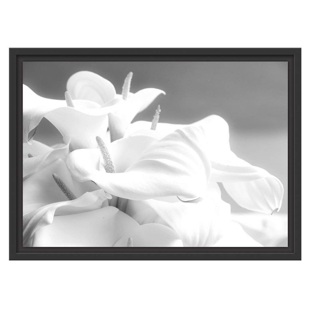 Gerahmtes Wandbild weiße Calla Lilien Kunst B&W