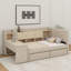 Twin Size Upholstered Daybed With Drawers, Shelves & Side Table-1031567314