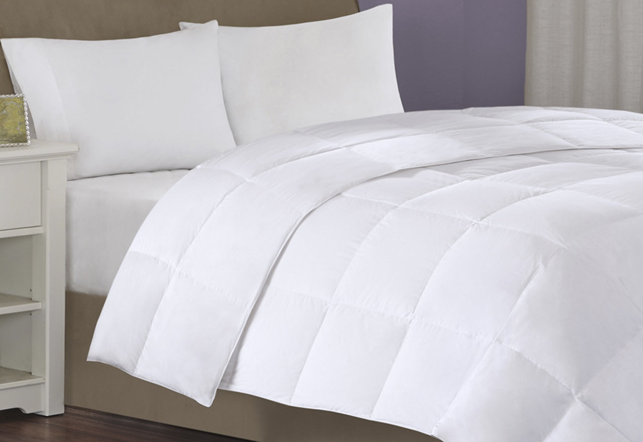 BestSelling Comforters & Foundations 2024 Wayfair