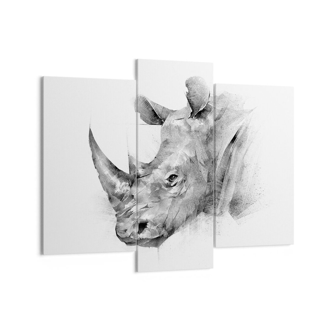 3-tlg. Leinwandbilder-Set Rhinoceros Portrait Graphics