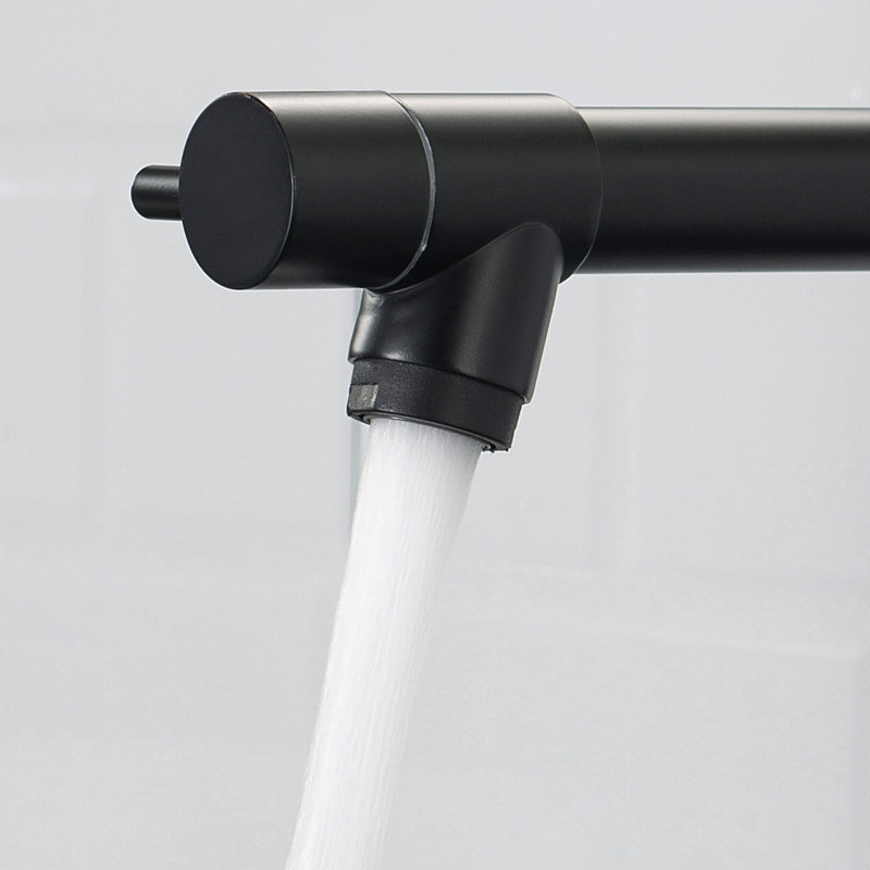 Robinet de cuisine avec douchette rétractable, robinet d'évier de cuisine à poignée simple