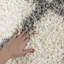 Tapis ivoire / gris à motif géométrique Alonnah-1777637983
