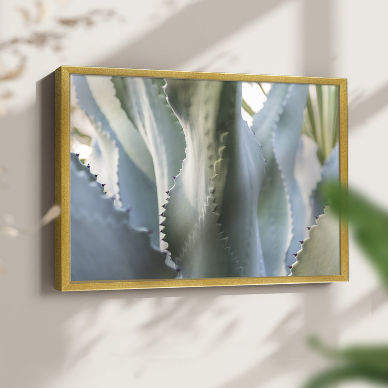 Blue Agave II -Framed Print - Restickable, 22" H x 28" W