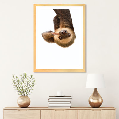 «Sloth» par Sissi & Seb - reproduction de photo