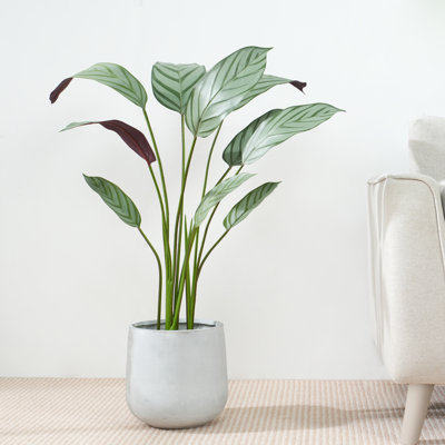 Ankitha Faux Bird of Paradise Plant