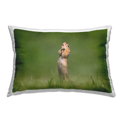 Outdoor Throw Pillow