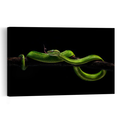 Striking Green Viper Snake Tropical Wall Art Print 1 Piece Wrapped Canvas Wall Art