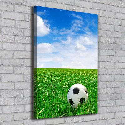 Football On The Meadow - Wrapped Canvas Print