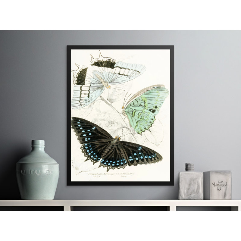 Print, 12x18