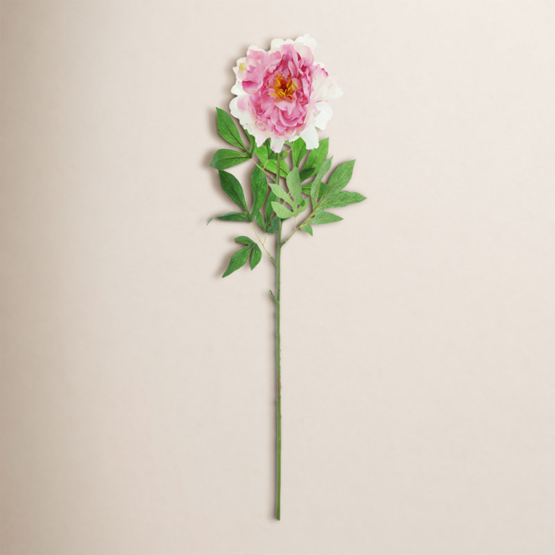 Fausse tige de pivoine