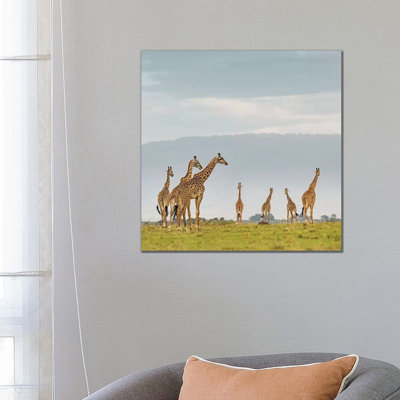 Colour Giraffe Herd I by Klaus Tiedge - Wrapped Canvas Print
