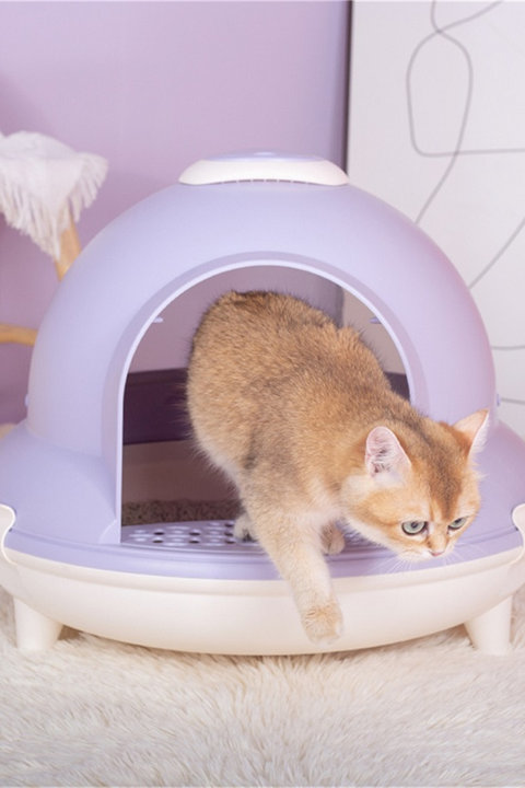 Shop For Litter Boxes