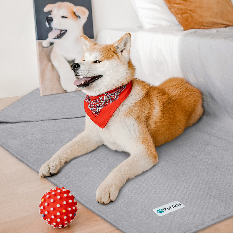 Medium Light Gray Waterproof Fleece Dog Blanket