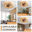 Ventilateur de plafond avec lumières DEL Nilde