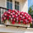Rose/rouge