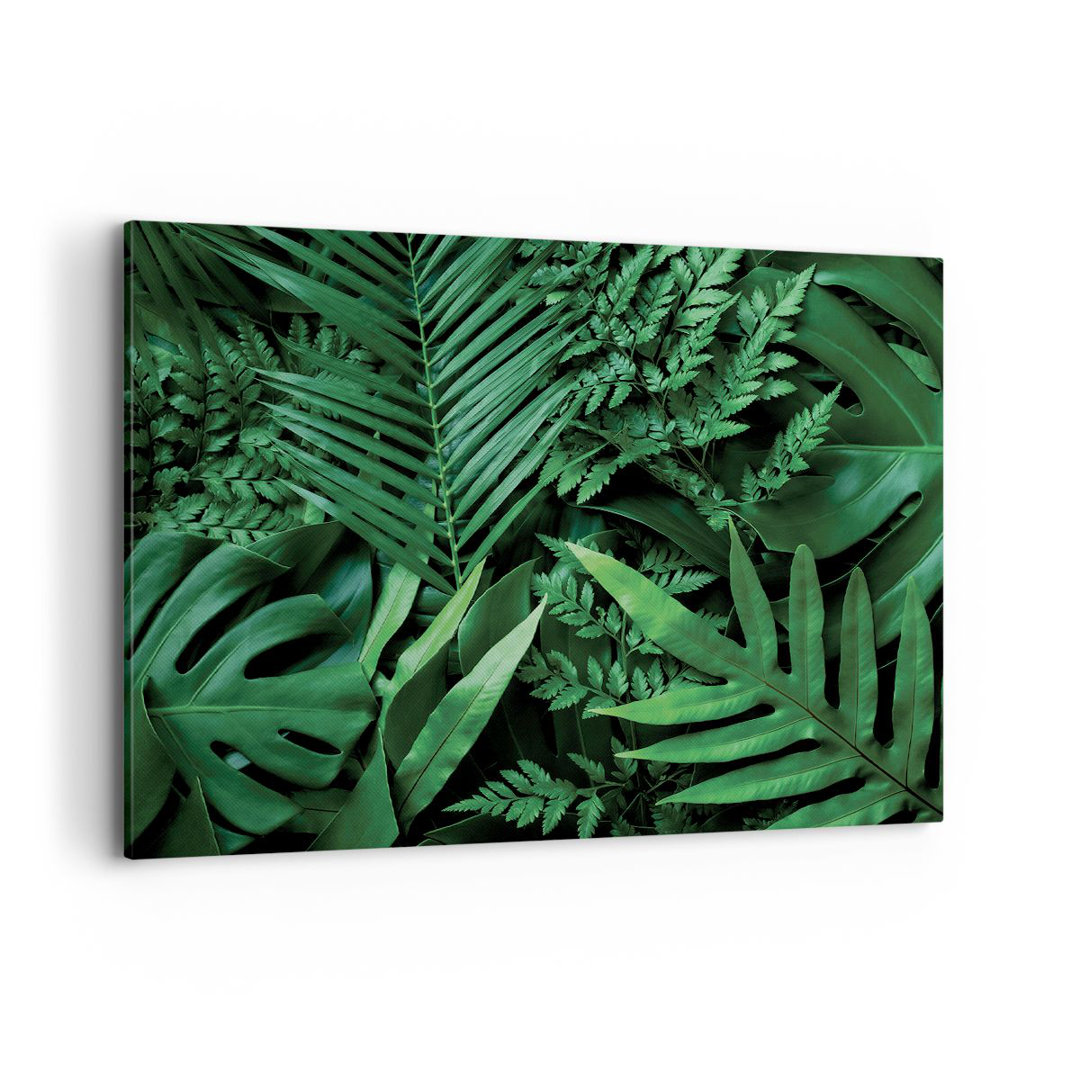 Leinwandbild Exotische Blätter Monstera