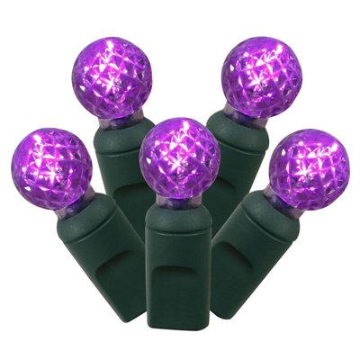 Set of 50 LED G12 Berry Christmas Lights 24' - Green Wire