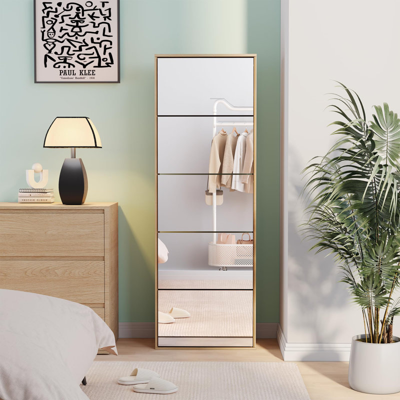 Modern Minimalist 5-shelf Mirrored Shoe Cabinet