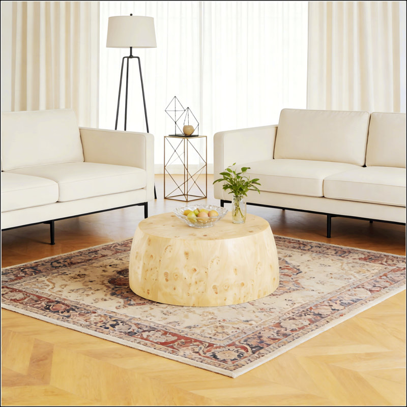 Table basse moderne et moderne en bois aggloméré naturel, entièrement assemblée avec rangement à deux niveaux, parfaite pour la maison et la cuisine