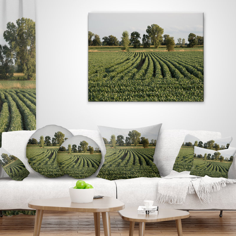 Rangées de champ de soja Wisconsin - coussin à imprimé paysage, 16 po x 16 po, Coussin décoratif