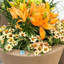 Dot Self Watering Plastic Pot Planter-17049374-119117373