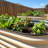 12" Tall 4x2 ft (2 Pcs) Module Metal Raised Garden Bed-1566090034