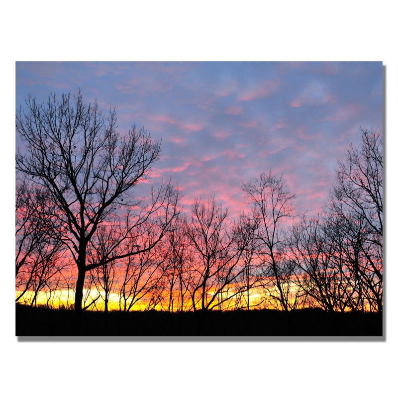 « winter coucher » par kurt shaffer, reproduction de photo sur toile tendue encadrée, H 18 po x l 24 po x P 2 po