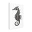 Hippocampe sur toile