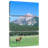 Brampt Coyote Valley Elk-108660789