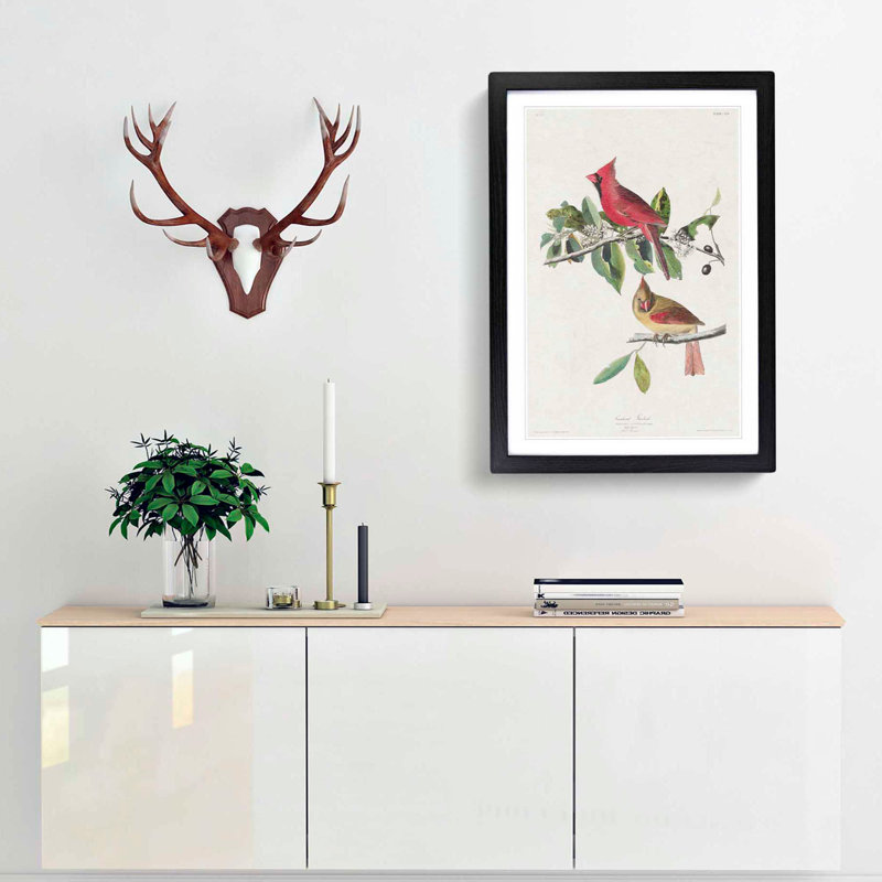 Cardinal Grosbeak Birds by John Audubon - Picture Frame Painting Print, Black Framed, 65cm H x 48cm W x 2cm D