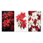 «Poinsettia Flower Noir», 3 pièces sur toile-1341924521-1341924524
