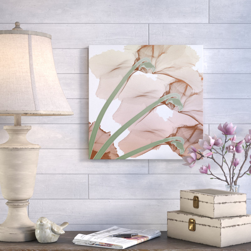 Peach Luster Cyclamen - Wrapped Canvas Print, 91 cm H x 91 cm W