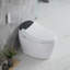 Toilette allongée pour bidet Tusuton 1,28 GPF (siège inclus)