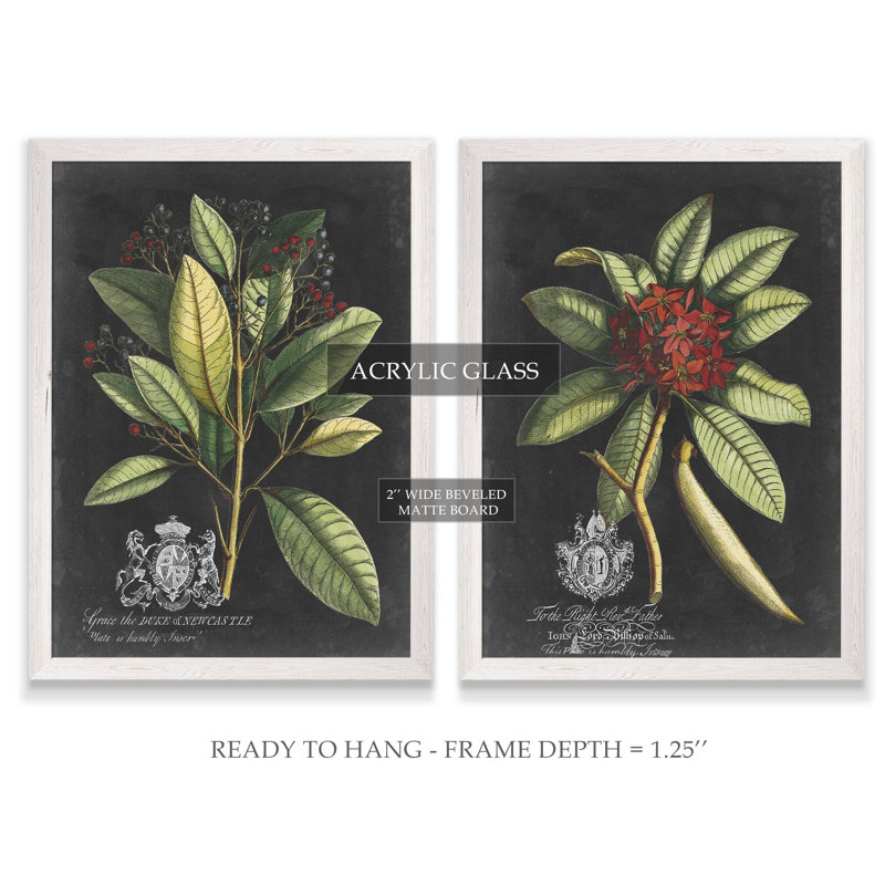 «Royal Foliage III» par Vincent Van Gogh - cadre photo 2 pièces, reproduction d'art, H 24 po x l 18 po x P 1,25 po