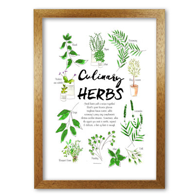Culinary Herbs - Single Picture Frame Print